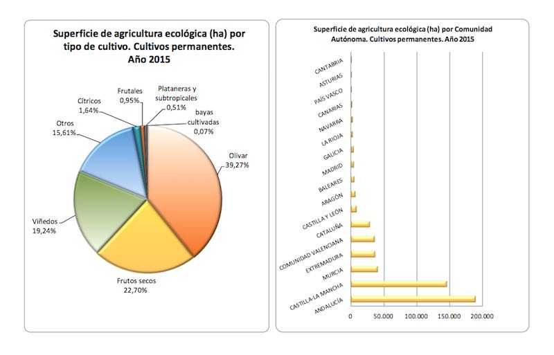 Olivar ecologico en España