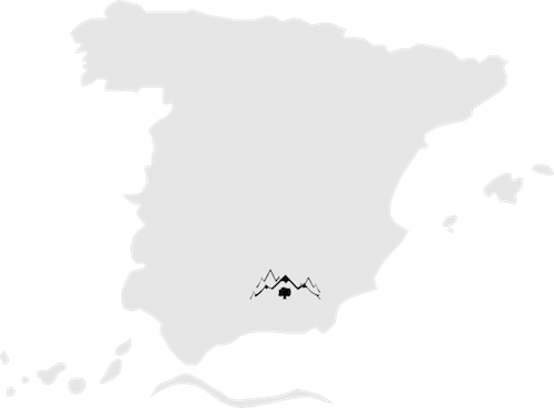 Aceite de oliva de Sierra Mágina Jaen