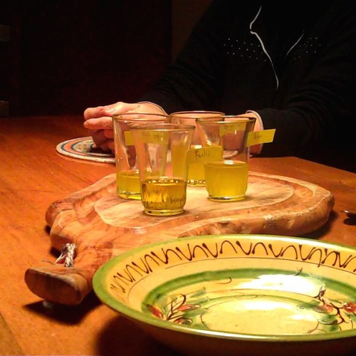 Cata de aceite de oliva