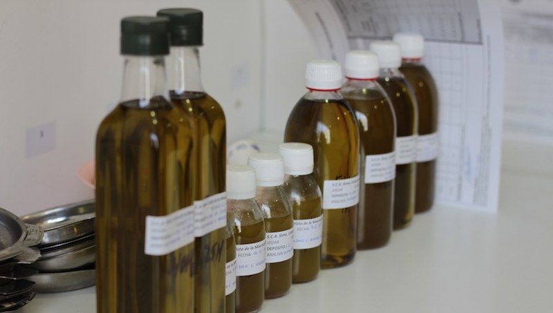 Analisis acidez de aceite de oliva en DO