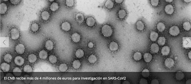 Investigacion sobre virus en el CNB
